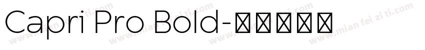 Capri Pro Bold字体转换